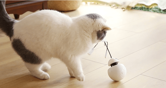 Robotumbler Laser Cat Toy - The Ultimate Feline Fun Machine!
