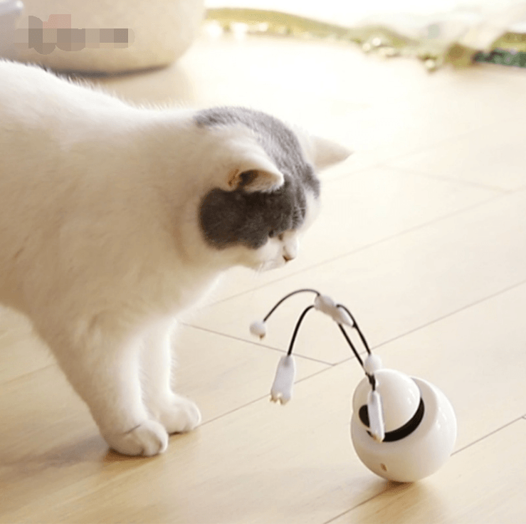 Robotumbler Laser Cat Toy - The Ultimate Feline Fun Machine!